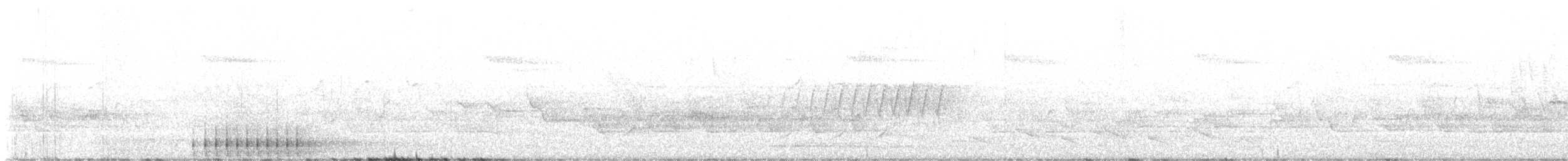 Каролинский дятел - ML619693552