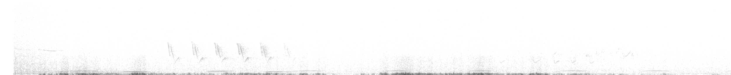Талпакоті строкатоголовий - ML619693685