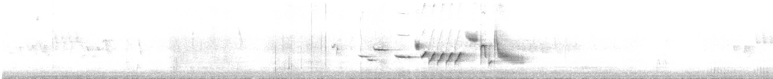 ゴマフスズメ（schistacea グループ） - ML619693928