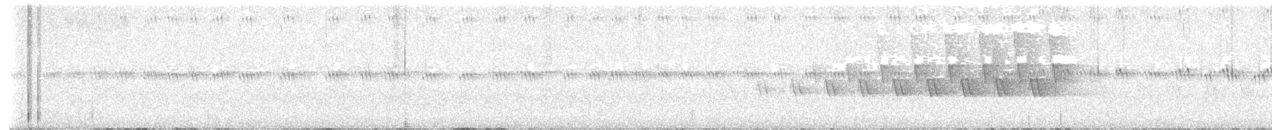 Смугастоволець оливковий - ML619694014