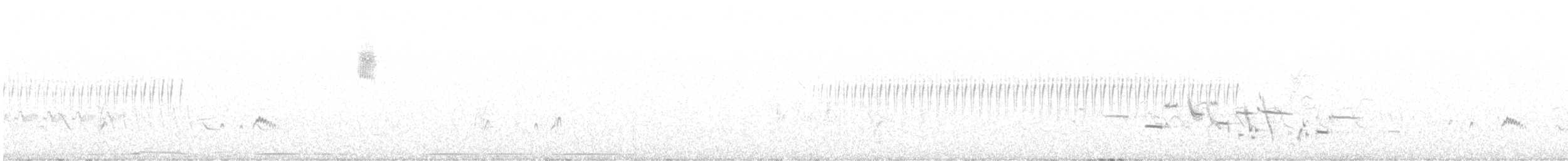 Gri Boğazlı Sinekkapan - ML619694201