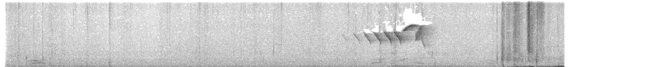 Пісняр горихвістковий - ML619694490