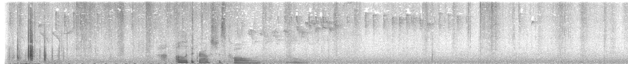 Пісняр горихвістковий - ML619694535