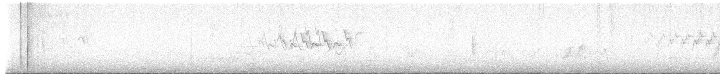 Піві-малюк вільховий - ML619694596