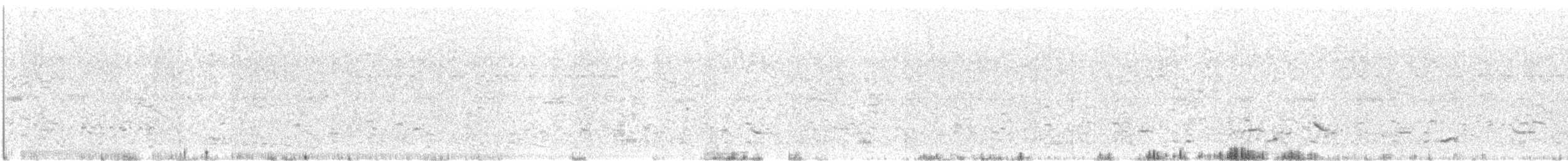 Чернобрюхий рябок - ML619694708