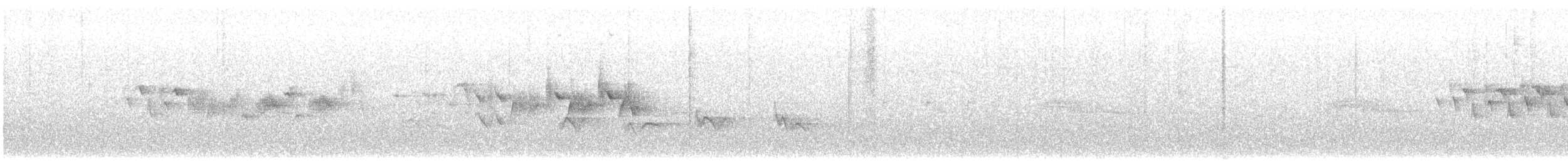 Black-throated Gray Warbler - ML619694897