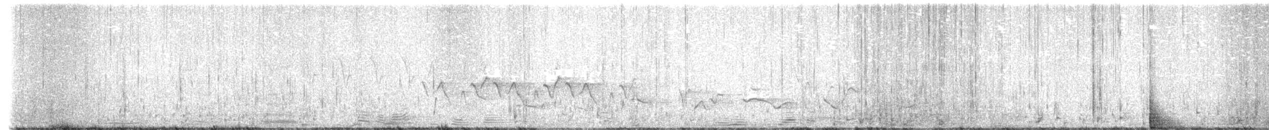 Піві північний - ML619694973