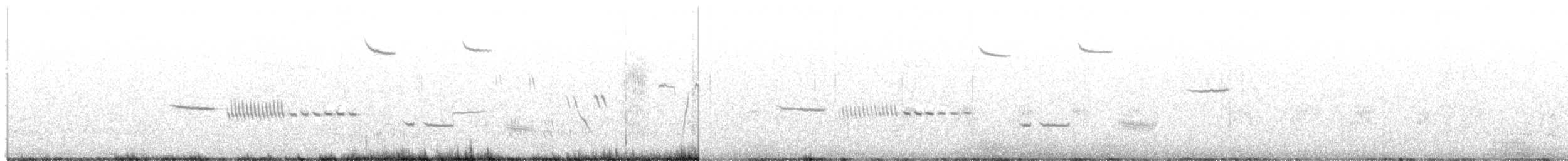 Cassin Serçesi - ML619695219