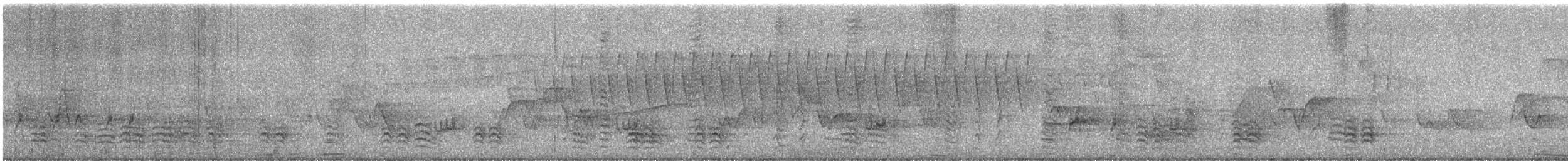 Weißbrustkleiber - ML619695490