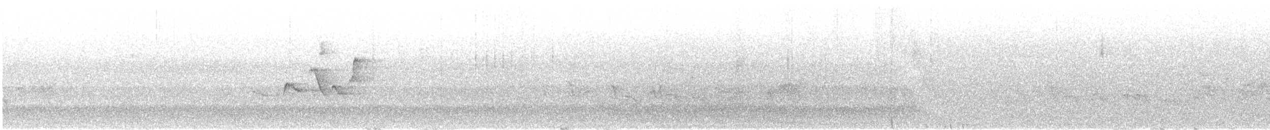 Paruline à capuchon - ML619696097