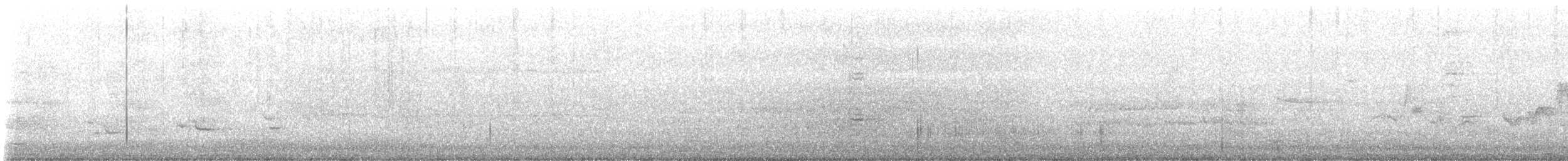 Eastern Warbling Vireo - ML619696578