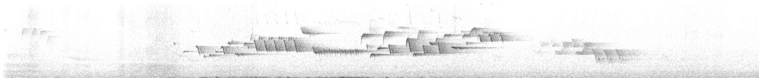 Волоочко канадське - ML619696972