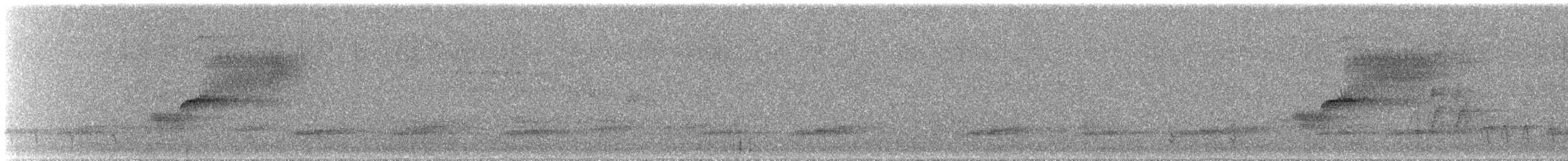 Тауї плямистий - ML619697364