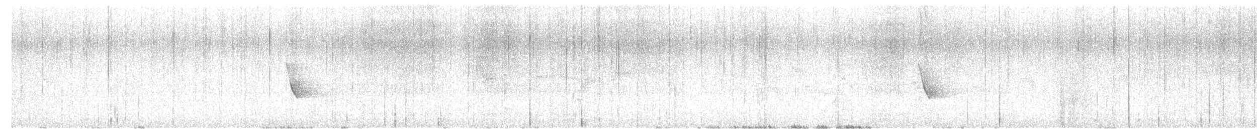 カワリハシハワイミツスイ - ML619697517