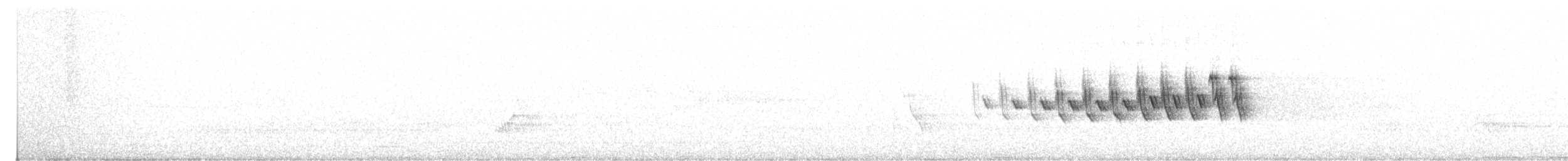 Arizonawaldsänger - ML619700205
