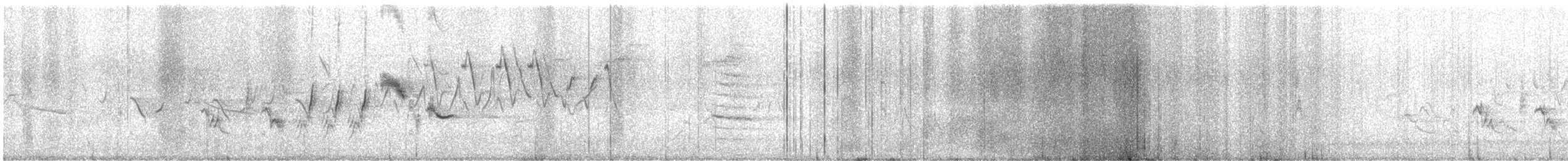 Oriole des vergers - ML619700237