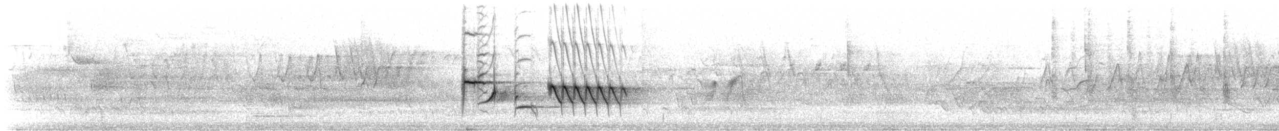 Tohi à flancs roux (erythrophthalmus/canaster) - ML619703440