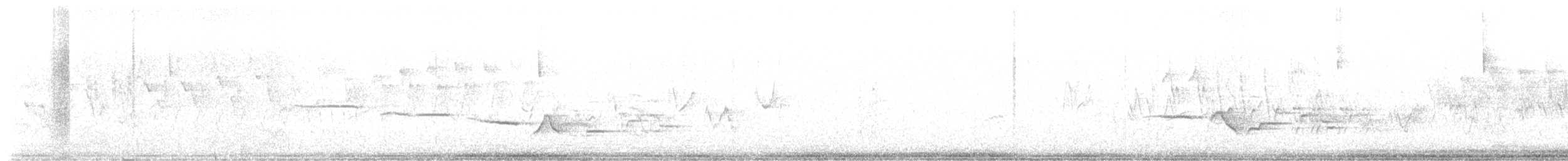 Дрізд-короткодзьоб плямистоволий - ML619703533