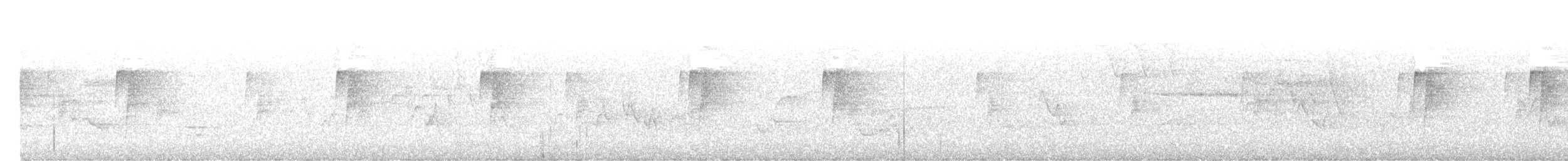 Küçük Boreal Sinekkapan - ML619703554