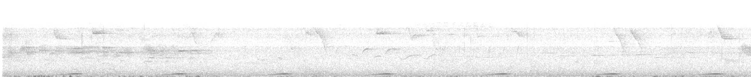 holoubek hnědoprsý - ML619706546