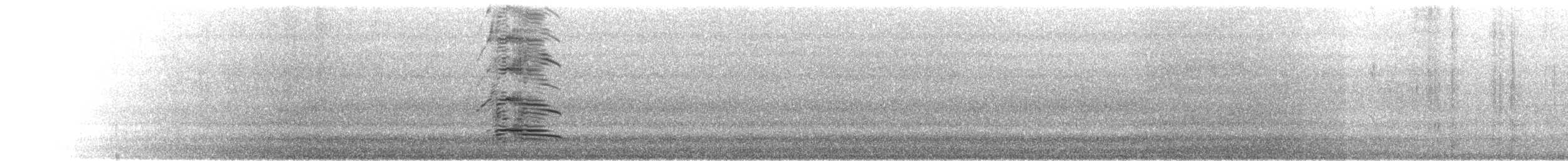 Western Grebe - ML619706553