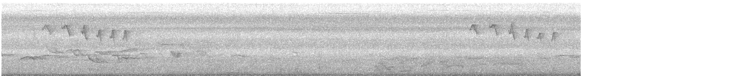 Turuncu Karınlı Öksekuşu - ML619706802