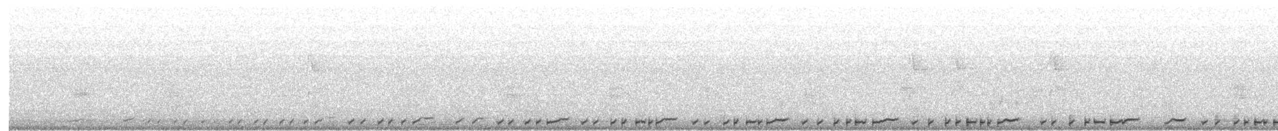 白腹秧雞 - ML619708728
