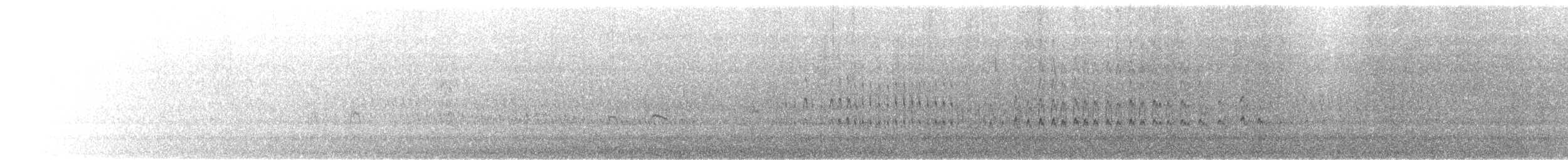 Vuelvepiedras Oscuro - ML619708897