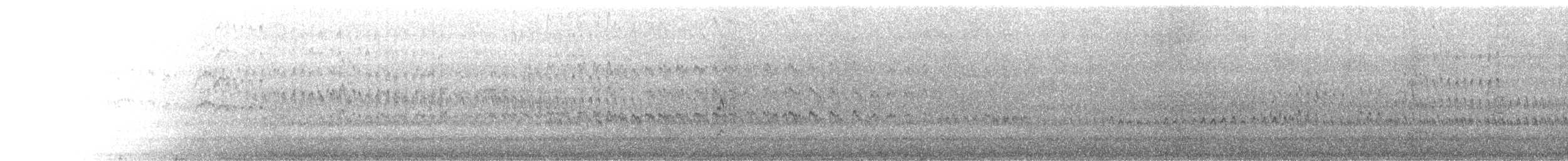 Vuelvepiedras Oscuro - ML619708898
