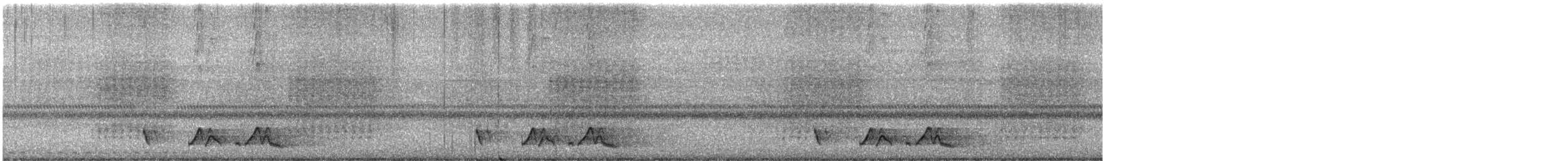 Carolinanachtschwalbe - ML619710214