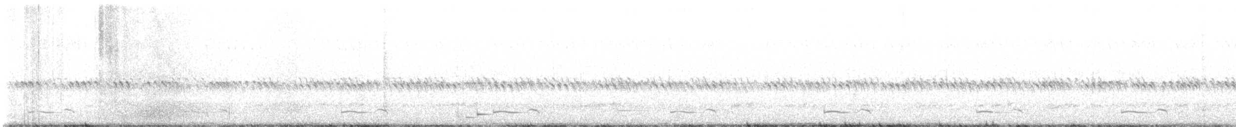 Winternachtschwalbe - ML619710333