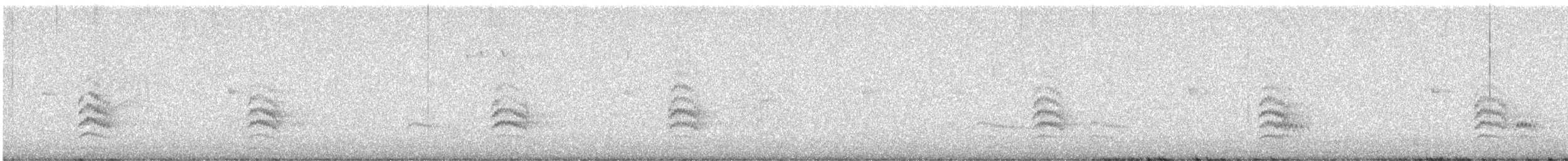 Weißbrustkleiber - ML619712028