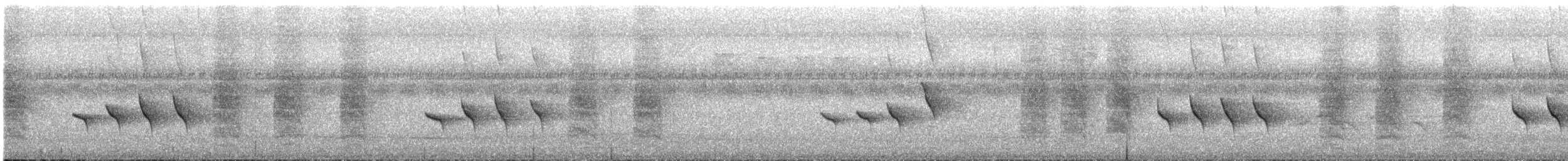 Филиппинский дронго (mirabilis) - ML619712981