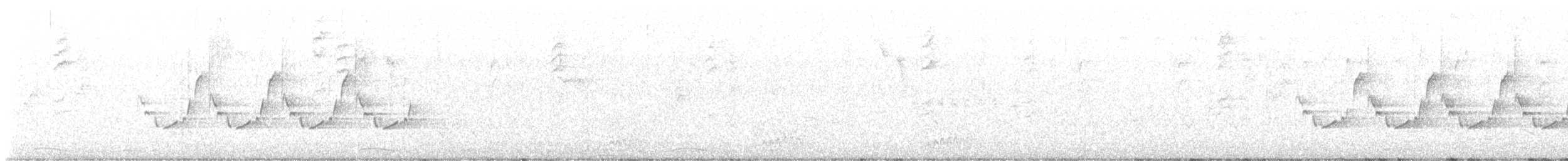 holoubek mexický - ML619713291