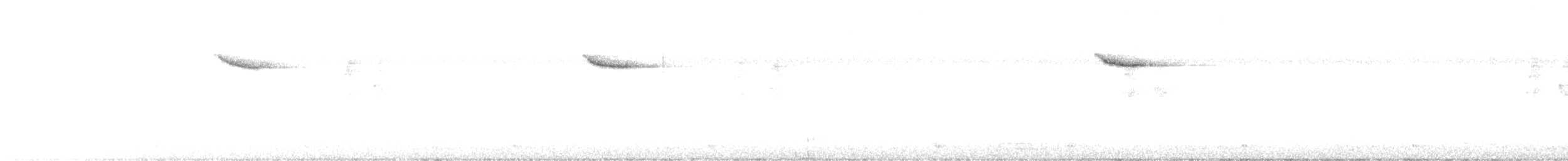 Снежнобровая мухоловка - ML619715057