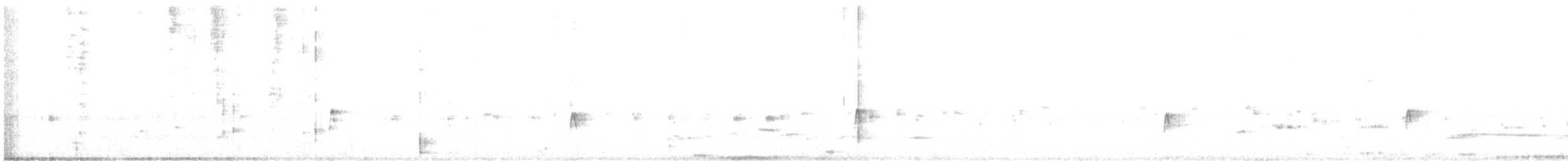 חטפית האלמון - ML619715267