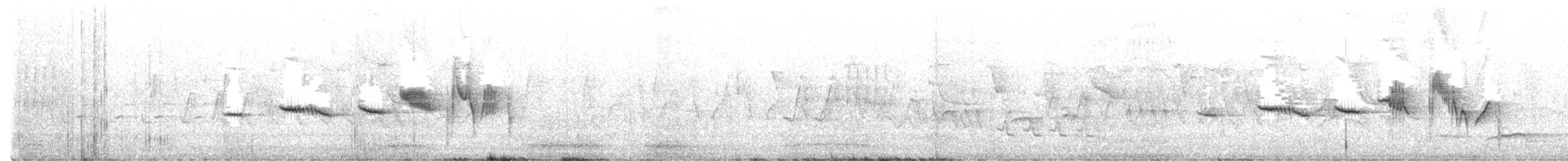 White-bellied Redstart - ML619716509