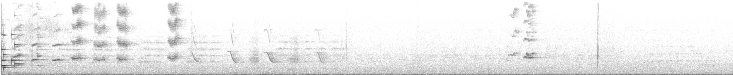 彩虹吸蜜鸚鵡 - ML619716777