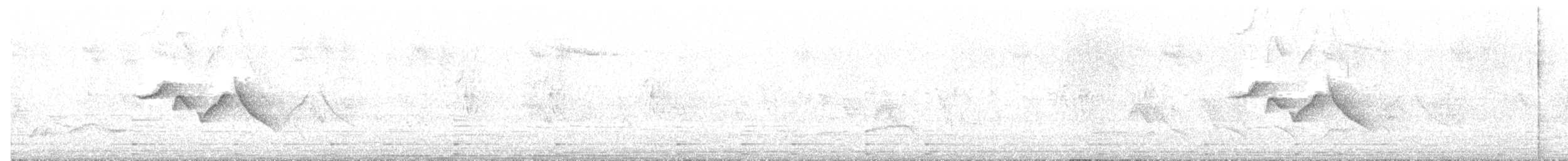 Обыкновенная чечевица - ML619717105