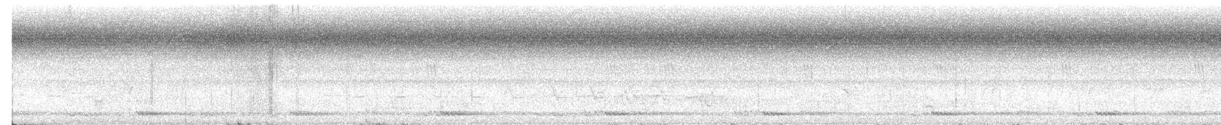 White-cheeked Barbet - ML619717135
