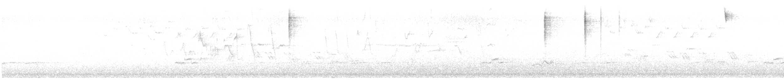 lesňáček černobílý - ML619718508