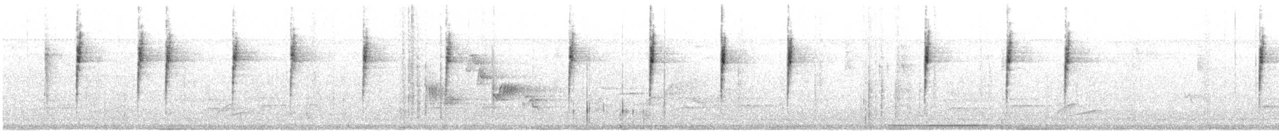 Nashville Warbler - ML619720731