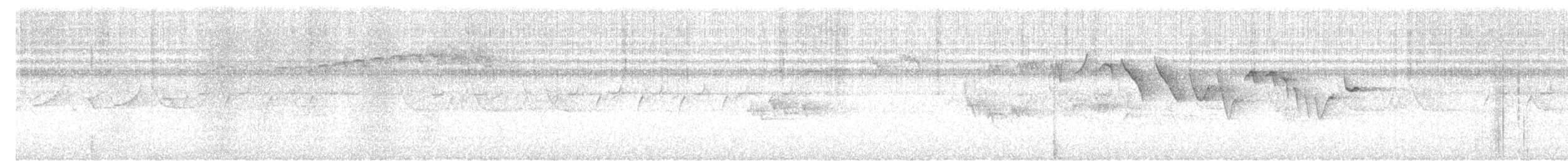 Eurasian Treecreeper - ML619722845