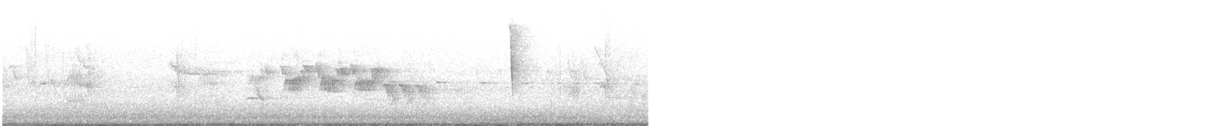 Черногорлая хвойница - ML619724563