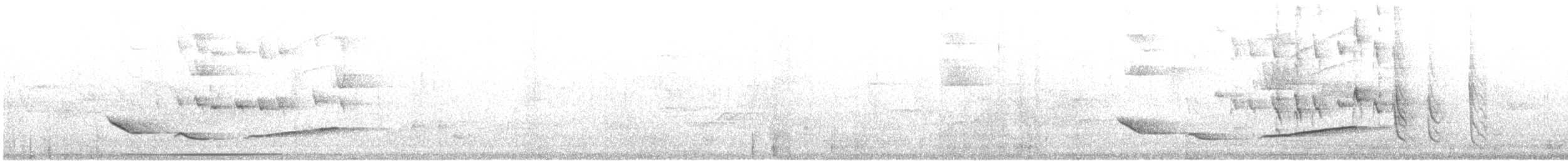 Pepitero Grisáceo Norteño - ML619725129