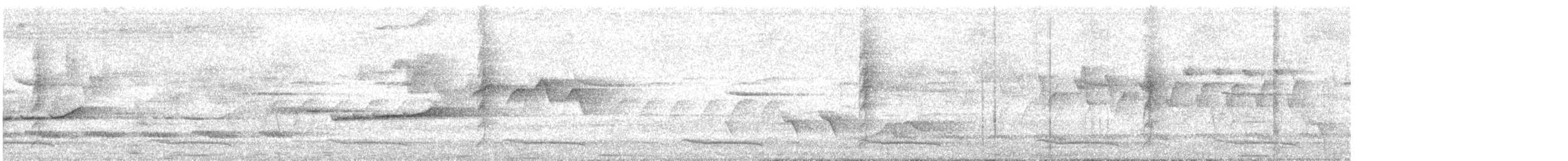 Віялохвістка білогорла - ML619725401