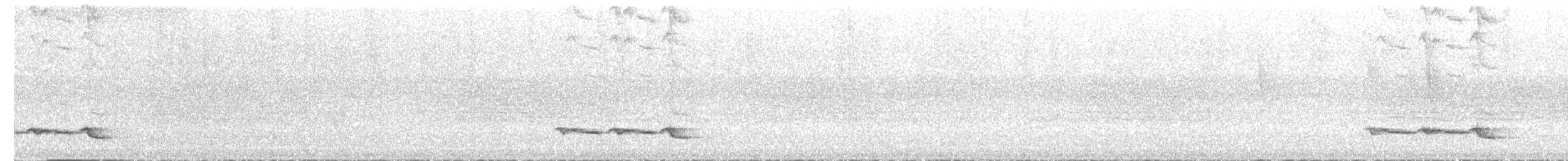 Белогрудый крапивник - ML619725440