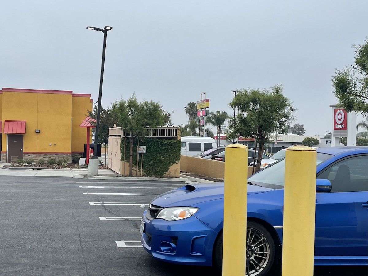 Yellow-headed Caracara - ML619725628