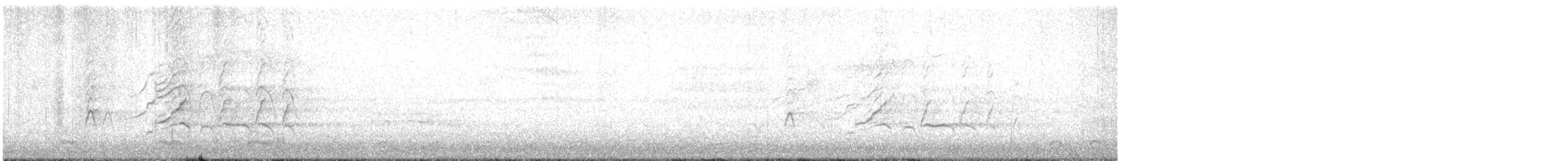 Kara Karınlı Islıkçı Ördek - ML619726040