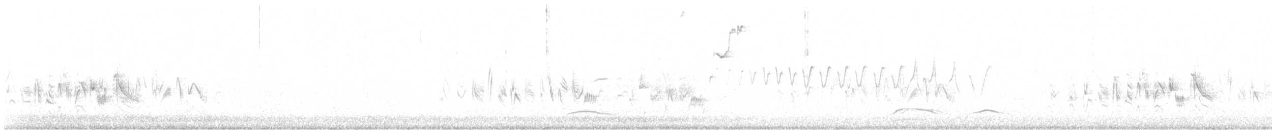 Braunaugenvireo (arizonae) - ML619729372